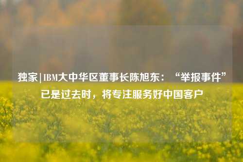 独家|IBM大中华区董事长陈旭东：“举报事件”已是过去时，将专注服务好中国客户