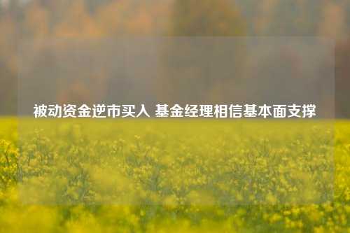 被动资金逆市买入 基金经理相信基本面支撑