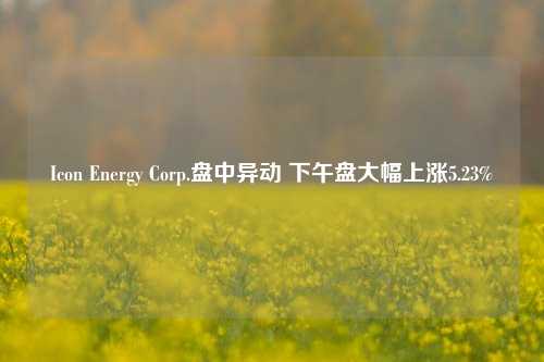 Icon Energy Corp.盘中异动 下午盘大幅上涨5.23%