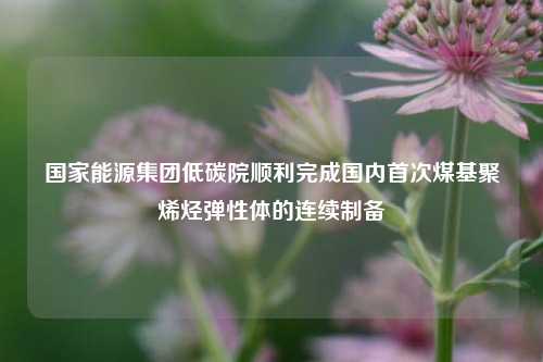 国家能源集团低碳院顺利完成国内首次煤基聚烯烃弹性体的连续制备