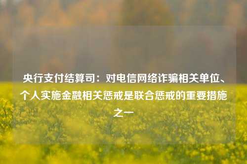 央行支付结算司：对电信网络诈骗相关单位、个人实施金融相关惩戒是联合惩戒的重要措施之一