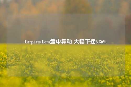 Carparts.Com盘中异动 大幅下挫5.36%