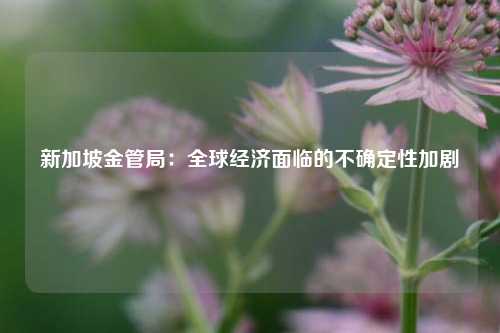 新加坡金管局：全球经济面临的不确定性加剧