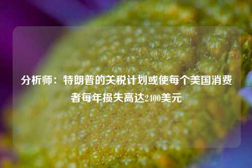 分析师：特朗普的关税计划或使每个美国消费者每年损失高达2400美元