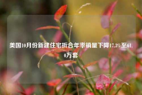 美国10月份新建住宅折合年率销量下降17.3%至61.0万套