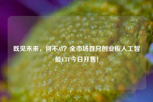 既见未来，何不AI？全市场首只创业板人工智能ETF今日开售！