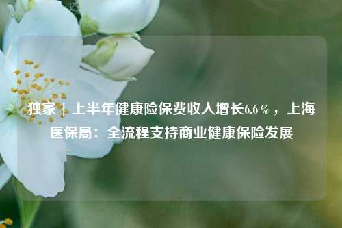 独家 | 上半年健康险保费收入增长6.6％，上海医保局：全流程支持商业健康保险发展