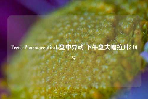 Terns Pharmaceuticals盘中异动 下午盘大幅拉升5.10%