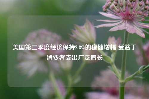 美国第三季度经济保持2.8%的稳健增幅 受益于消费者支出广泛增长