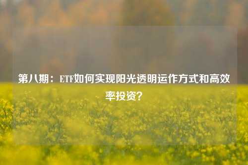 第八期：ETF如何实现阳光透明运作方式和高效率投资？