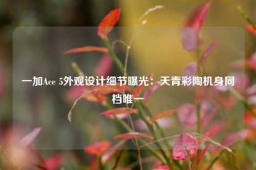 一加Ace 5外观设计细节曝光：天青彩陶机身同档唯一