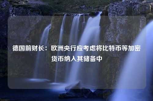 德国前财长：欧洲央行应考虑将比特币等加密货币纳入其储备中