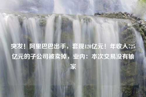 突发！阿里巴巴出手，套现120亿元！年收入725亿元的子公司被卖掉，业内：本次交易没有输家