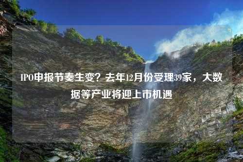 IPO申报节奏生变？去年12月份受理39家，大数据等产业将迎上市机遇