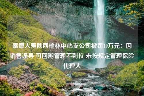 泰康人寿陕西榆林中心支公司被罚19万元：因销售误导 可回溯管理不到位 未按规定管理保险代理人