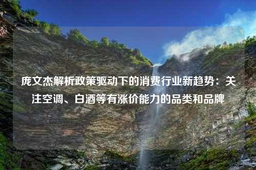 庞文杰解析政策驱动下的消费行业新趋势：关注空调、白酒等有涨价能力的品类和品牌