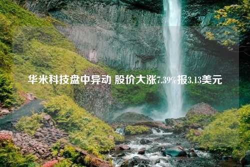 华米科技盘中异动 股价大涨7.39%报3.13美元