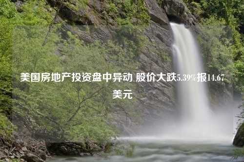 美国房地产投资盘中异动 股价大跌5.39%报14.67美元