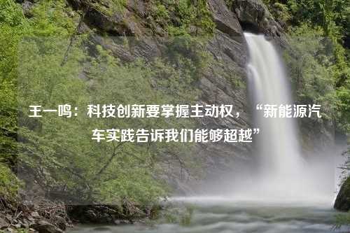 王一鸣：科技创新要掌握主动权，“新能源汽车实践告诉我们能够超越”