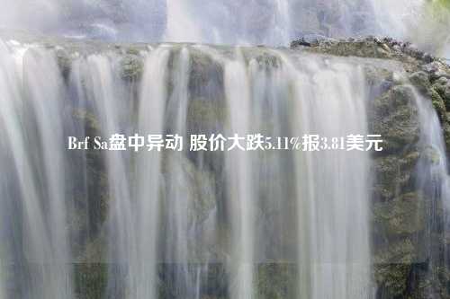 Brf Sa盘中异动 股价大跌5.11%报3.81美元