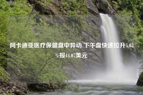 阿卡迪亚医疗保健盘中异动 下午盘快速拉升5.05%报44.07美元