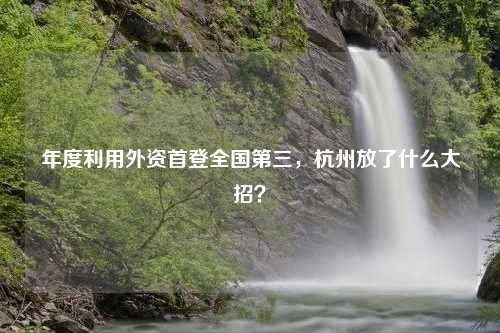 年度利用外资首登全国第三，杭州放了什么大招？