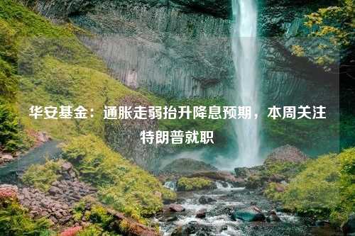 华安基金：通胀走弱抬升降息预期，本周关注特朗普就职