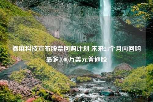 雾麻科技宣布股票回购计划 未来24个月内回购最多1000万美元普通股