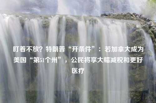 盯着不放？特朗普“开条件”：若加拿大成为美国“第51个州”，公民将享大幅减税和更好医疗