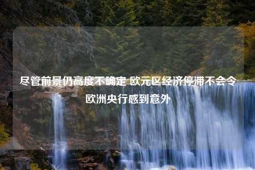 尽管前景仍高度不确定 欧元区经济停滞不会令欧洲央行感到意外