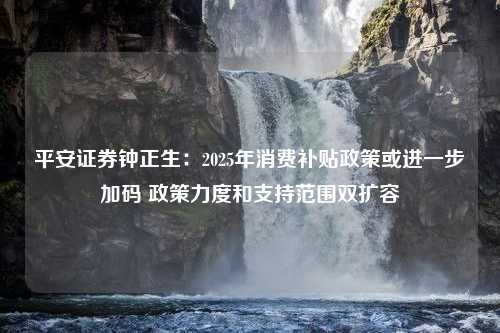 平安证券钟正生：2025年消费补贴政策或进一步加码 政策力度和支持范围双扩容