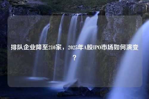 排队企业降至210家，2025年A股IPO市场如何演变？