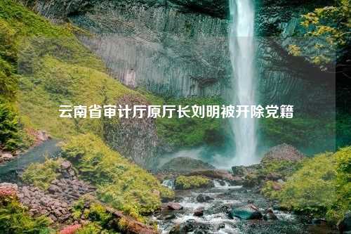 云南省审计厅原厅长刘明被开除党籍