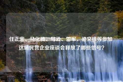 任正非、马化腾、马云、雷军、梁文锋等参加 这场民营企业座谈会释放了哪些信号？