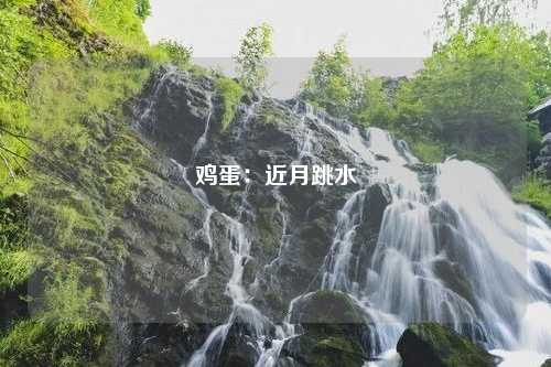 鸡蛋：近月跳水