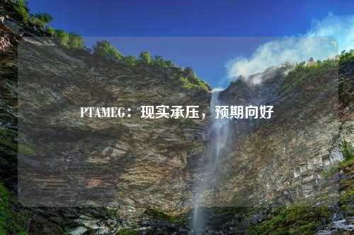 PTAMEG：现实承压，预期向好