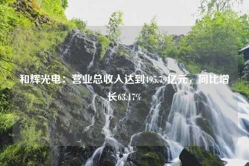 和辉光电：营业总收入达到495.79亿元，同比增长63.17%