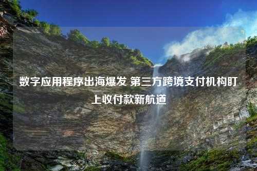 数字应用程序出海爆发 第三方跨境支付机构盯上收付款新航道