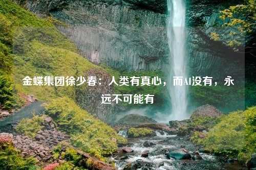 金蝶集团徐少春：人类有真心，而AI没有，永远不可能有